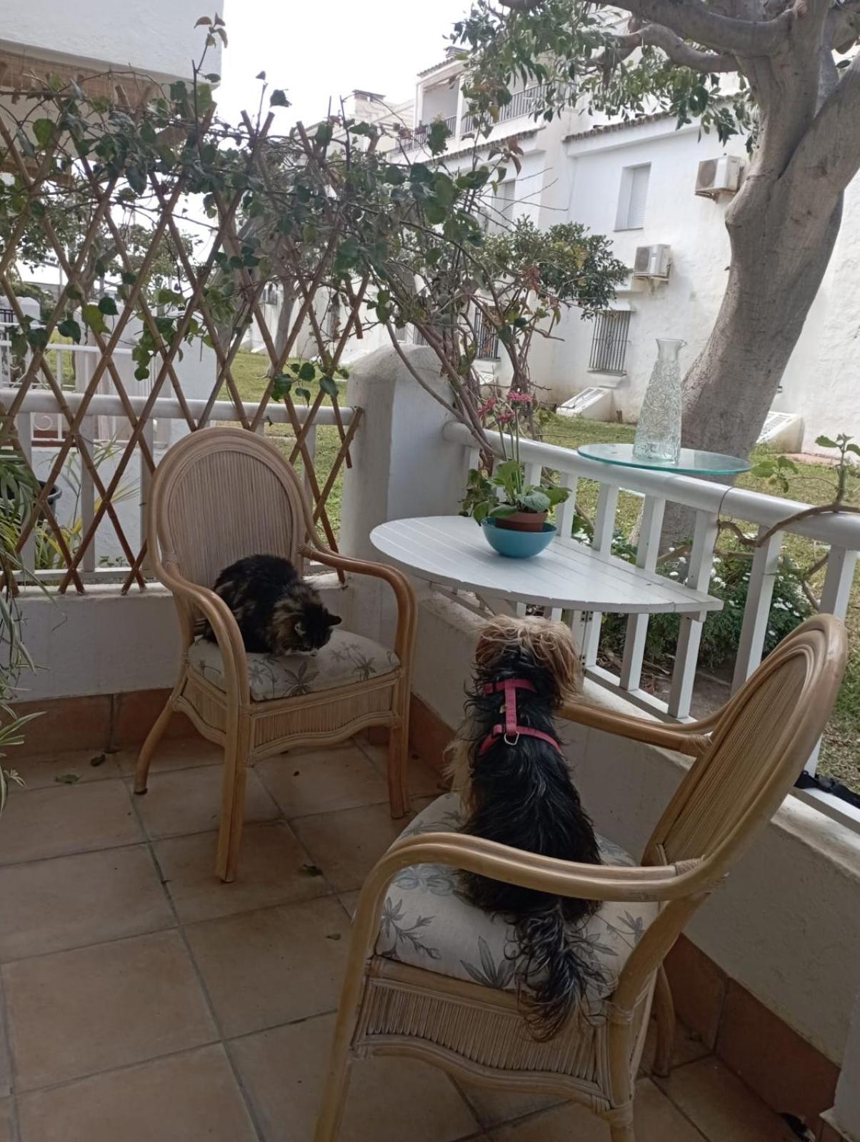 Apartamento Laguna Beach Torrox Costa Kültér fotó